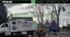 Desktop Screenshot of diamondtreeco.com